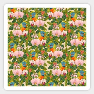 Rainbow Lorikeet Sticker